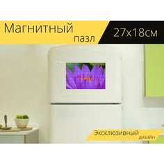 Магнитный пазл "Водяная лилия, цвести, цветок" на холодильник 27 x 18 см. Lots Prints