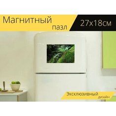 Магнитный пазл "Папоротник, лес, мох" на холодильник 27 x 18 см. Lots Prints