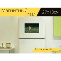 Магнитный пазл "Спящий тигр, амурский тигр, тигр" на холодильник 27 x 18 см. Lots Prints
