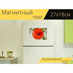 Магнитный пазл "Мак, полевой цветок, красный" на холодильник 27 x 18 см. Lots Prints