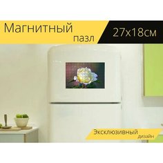 Магнитный пазл "Цветок, роза, лепестки" на холодильник 27 x 18 см. Lots Prints