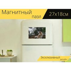 Магнитный пазл "Сибирский хаски, собака, талисман" на холодильник 27 x 18 см. Lots Prints