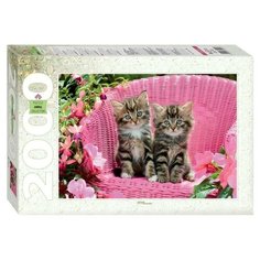 Пазл «Милые котята», 2000 элементов