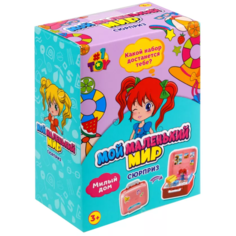Набор игровой милый ДОМ серия МОЙ маленький МИР (чемоданчик с комнаткой) 1TOY Т23892