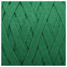 Пряжа для вязания YarnArt Ribbon 250гр 125м (60% хлопок, 40% вискоза и полиэстер) (759 зеленый), 4 мотка