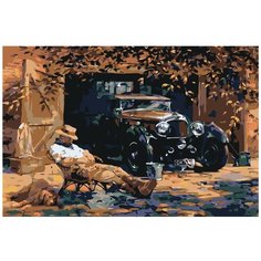 Картина по номерам, "Живопись по номерам", 48 x 72, NAVI-AP12