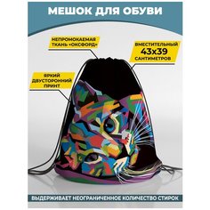 Мешок для сменной обуви Homepick 38х42м Кошка29А/1011/