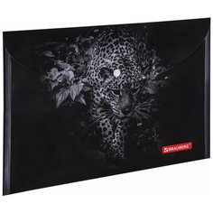 BRAUBERG Папка-конверт с кнопкой brauberg leopard , а4, 160 мкм, до 100 листов, цветная печать, 228039, 12 шт.