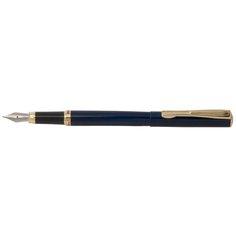 Ручка Pierre Cardin Eco, перьевая, PC0871FP, синий