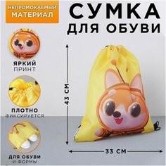 Болоневая сумка для обуви «Давай дружить», 33х43х0,5 см нет бренда