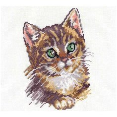 Набор для вышивания "Котенок" 14х18см Алиса