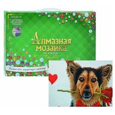 Алмазная мозаика на картоне "Собачка с розой" (20 цветов) Рыжий кот