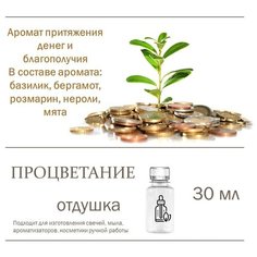 Процветание, отдушка для свечей и мыла 30 мл Candle M