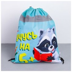 Мешок для обуви со светоотражающим элементом "Учусь на 5!", размер 41х34 см./В упаковке шт: 1 NO Name