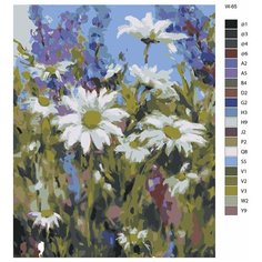 Картина по номерам W-65 "Ромашки" 40х50 Brushes Paints
