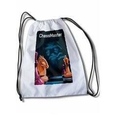 Мешок для сменной обуви с принтом Игры ChessMaster - 34738 Brut Boxers