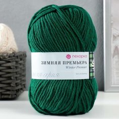 Пряжа "Зимняя премьера" 50%меринос. шерсть, 50% акрил объёмный 150м/100гр (376-Нефрит), 1шт Пехорка