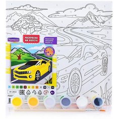 Раскраска по номерам на холсте Гоночная машина 20х20 Р3052 Развивашки