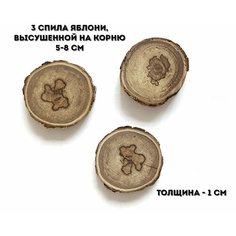 Спилы деревянные FANTASY (яблоня на корню), 3 штуки, 5-8 см, толщина - ок. 1 см
