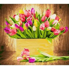 Картина по номерам Коробка тюльпанов 40х50 см Hobby Home
