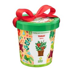 Набор для выращивания Happy Plant Горшок подарочный Томат черри, 1 эксперимент