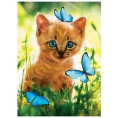 Алмазная мозаика / Вышивка / Живопись / Картина стразами Школа талантов "Котенок с бабочками" 15х21 см / с полным заполнением / на холсте