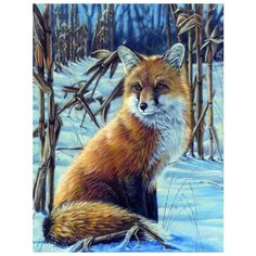 Картина по номерам "Хитрый лис", 40x50 см Paintboy