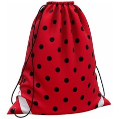 Мешок для обуви ErichKrause® 365x440мм Dots in Red