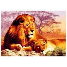 Алмазная мозаика на подрамнике ZX10176, 40x50 см Paintboy