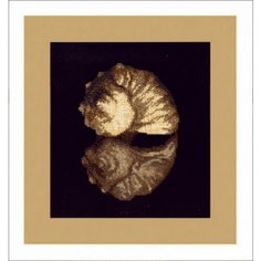 Морской дар #М-06 Чаривна Мить Набор для вышивания 21 x 23 см Счетный крест