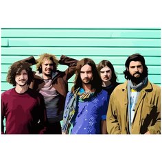 Картина по номерам на холсте Tame Impala - 1