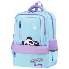 BRAUBERG Рюкзак Friendly panda, 270667, голубой