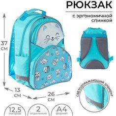 Calligrata Рюкзак школьный, 37 х 26 х 13 см, эргономичная спинка, Calligrata АН "Котик"