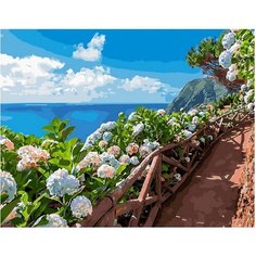 Картина по номерам Цветочная тропа у моря 40х50 см Hobby Home