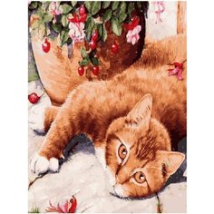Картина по номерам Милый котик 40х50 см Hobby Home
