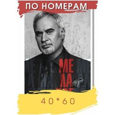 Картина по номерам " Меладзе Valery Meladze " холст на подрамнике 40 х 60