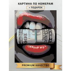 Картина по номерам Губы с долларами / Lips with dollars холст на подрамнике 40*50