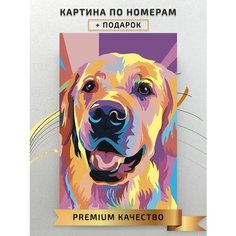 Картина по номерам Цветная собака / Colored Dog холст на подрамнике 40*60