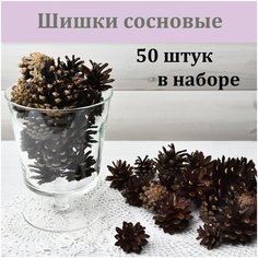Шишки сосновые для рукоделия, декора, поделок и новогодних веночков 50 шт. Sm Floristic