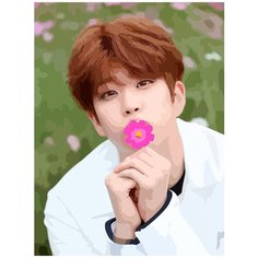 Картина по номерам на холсте Музыка KPOP ASTRO (MJ, Мунбин, Роки, Санха) - 6052 В 30x40