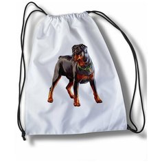 Мешок для сменной обуви Grand Theft Auto - 20101 Brut Boxers