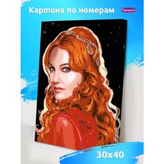 Картина по номерам на холсте на подрамнике 30*40 Р3169 Развивашки