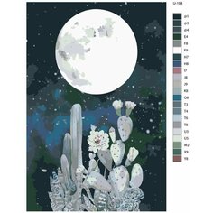Картина по номерам U-194 "Луна, звездное небо, кактусы" 80x120 см Brushes Paints