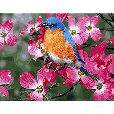 Картина по номерам Весенняя птичка 40х50 см Hobby Home