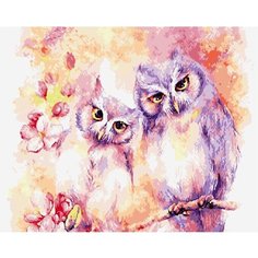 Картина по номерам Совы 40х50 см Hobby Home