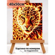 Картина по номерам 40*50 Colibri