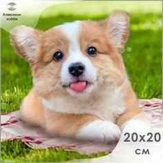 Алмазная мозаика, Картина стразами, Алмазное хобби "Озорной корги" 20х20 без подрамника