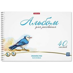 Альбом для рисования А4, 40 листов на спирали, ErichKrause Birds, блок белизна 100%, плотность 120 г/м2, микроперфорация для отрыва
