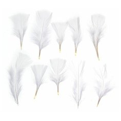 Набор перьев для декора 10 шт, размер 1 шт: 10 × 4 см, цвет белый Profit