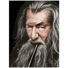 Картина по номерам на холсте Фильм Властелин Колец (Гендальф, Маг, Фродо, Кольцо всевластия, Саурон) - 7926 В 30x40